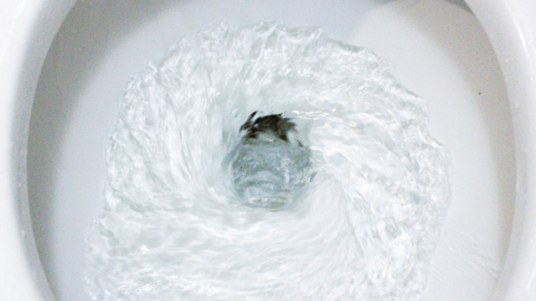 toilet flushing with water swirling 