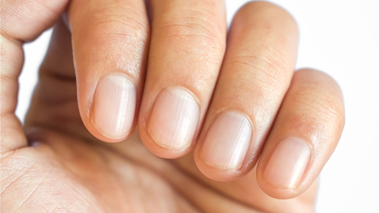 close-up of fingernails