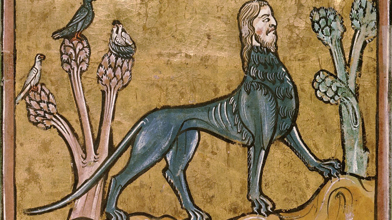 Medieval illustration of a manticore