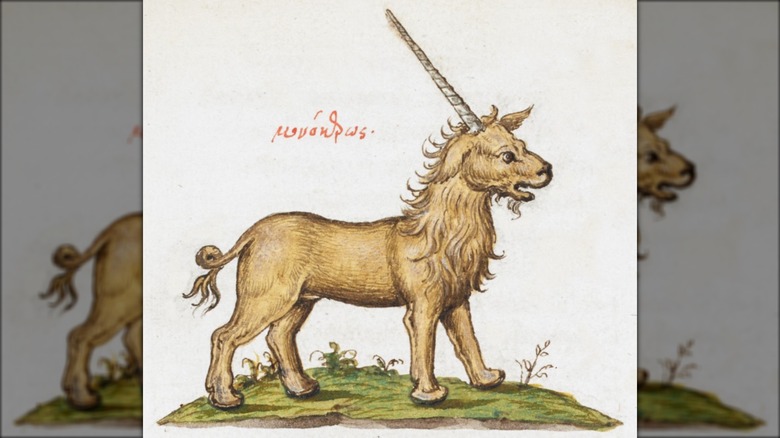 16th century illustration of a monoceros