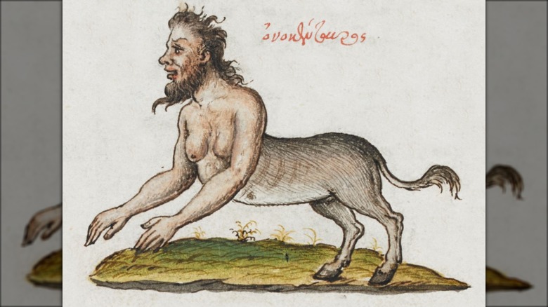 16th century illustration of onocentaur