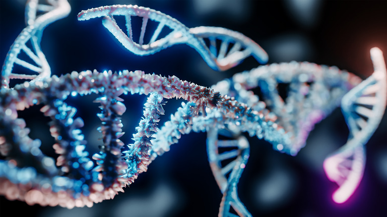 DNA double helix illustration