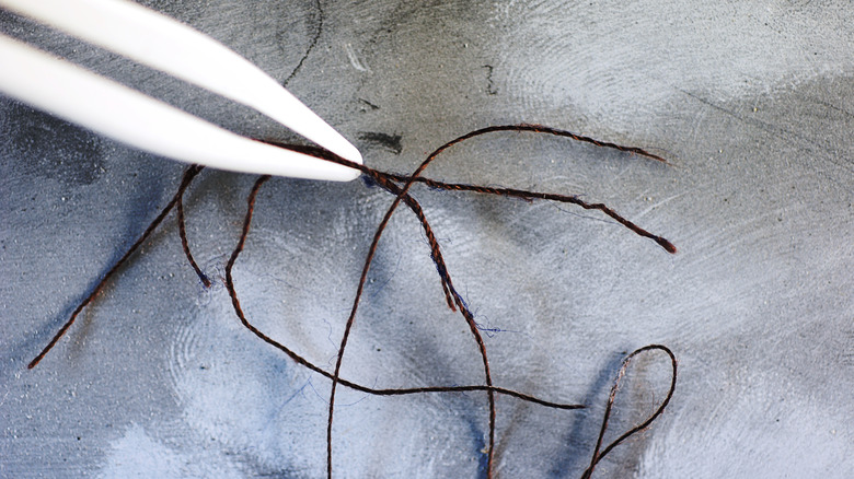 tweezers picking up fiber