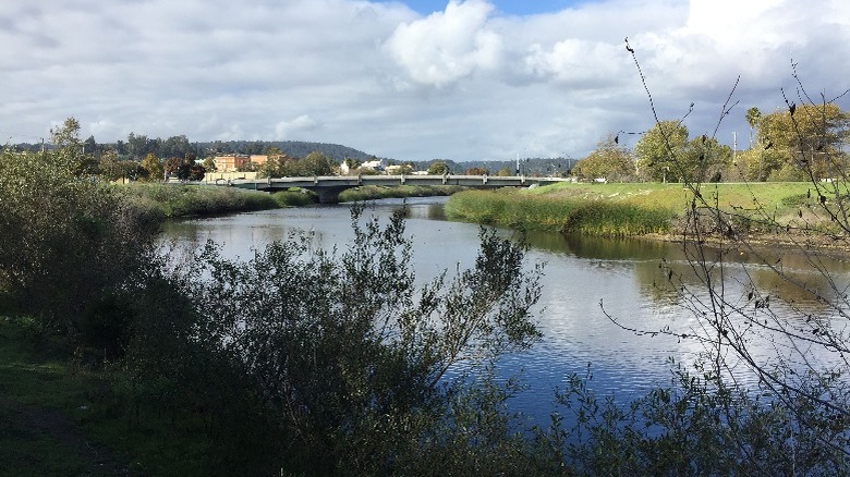 View of the San Lorenzo River