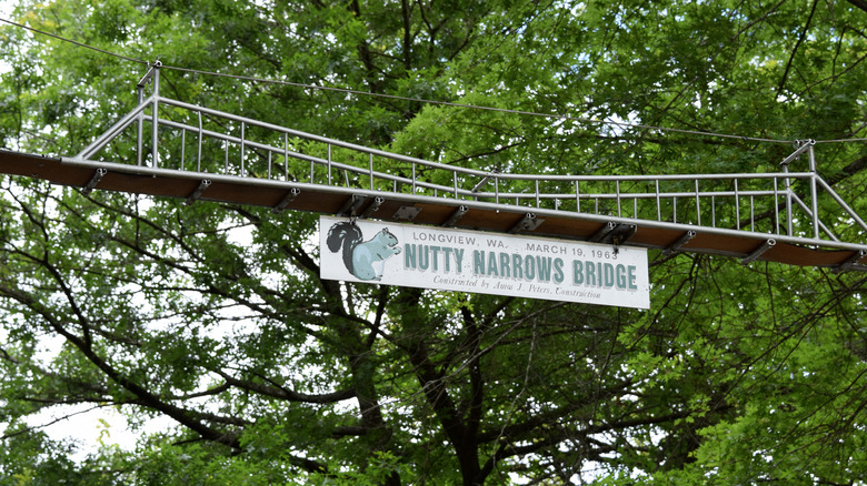 squirrel bridge nutty narrows