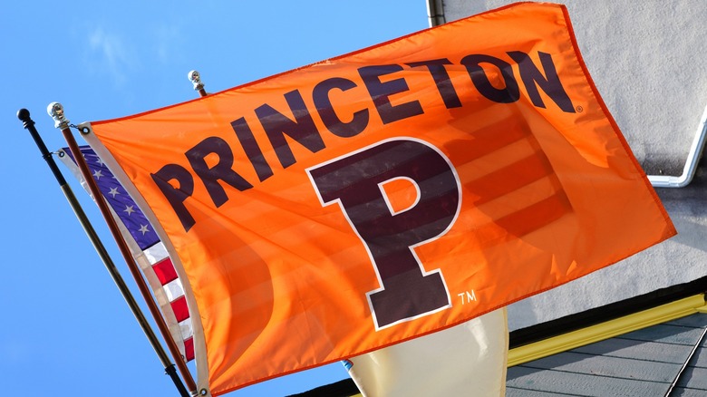 Princeton University flag