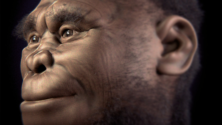 Homo floresiensis