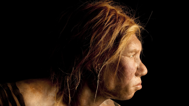 Neanderthal woman reconstruction