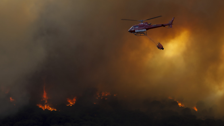 helicopter fighting wildfires