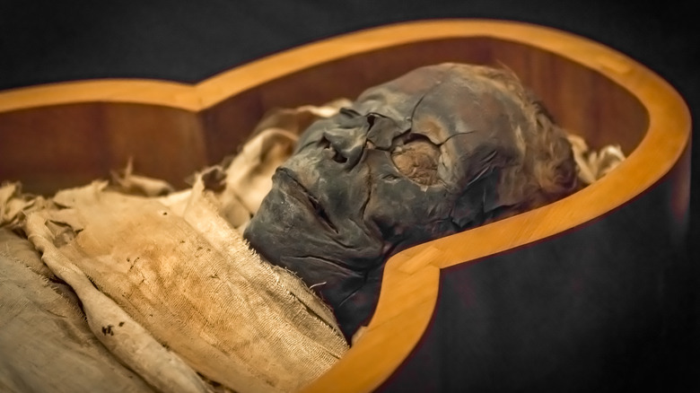 dried mummy lies in sarcophagus