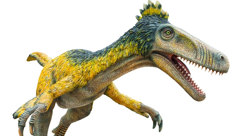 14 Types Of Raptor Dinosaurs Explained