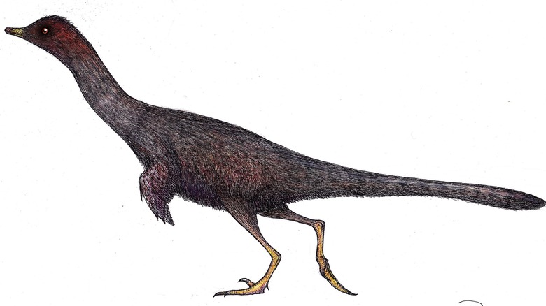Halszkaraptor illustration restoration