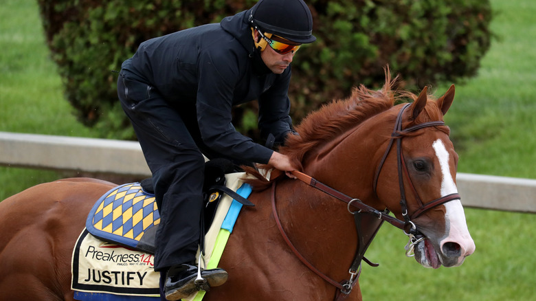 Justify, winner of the 2018 Kentucky Derby