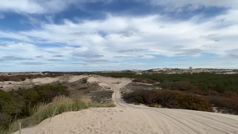 Wide shot of sand dunes