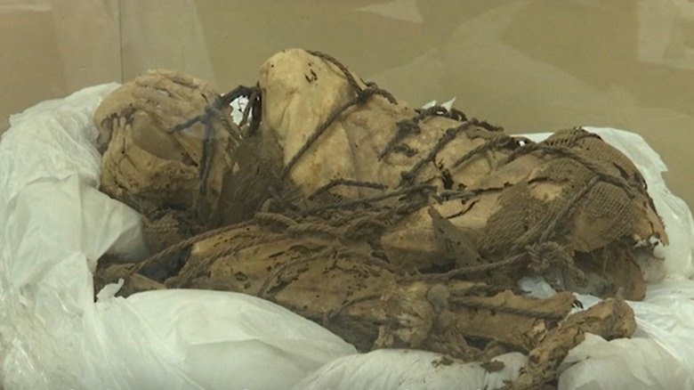 One of the mummified children is put on display