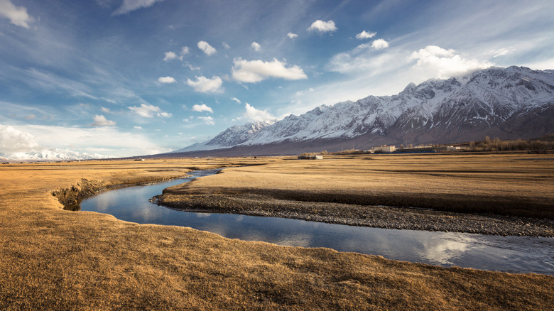 Vast Chinese grassland