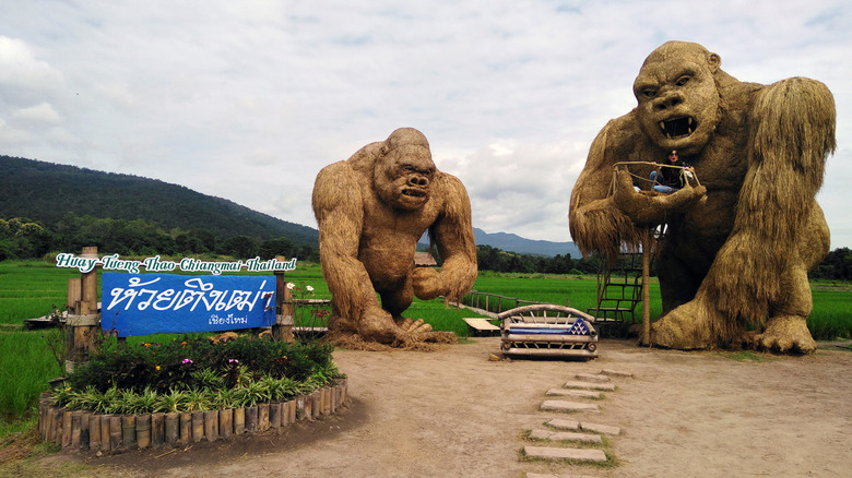 King Kong statues outside nature preserve