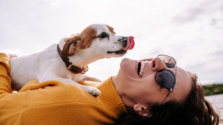 Dog and delighted human