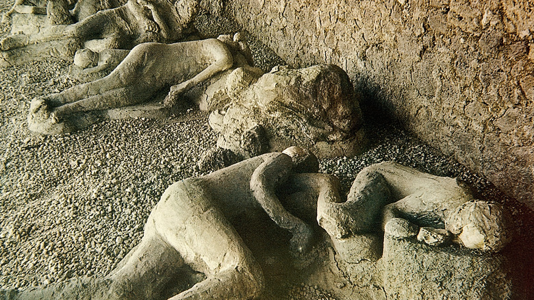 Remains of bodies found in Pompeii's Garden of the Fugitives