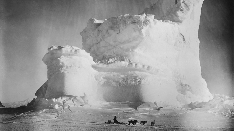 Dog sled passing giant snow mound