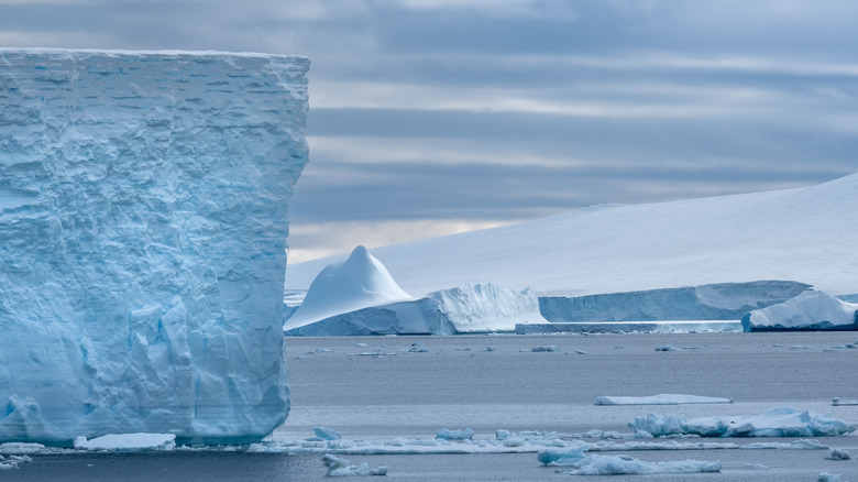 Coastal antarctic glaciers 