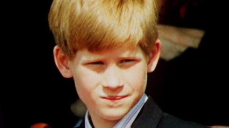 young Prince Harry