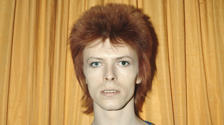 David Bowie Ziggy Stardust red hair