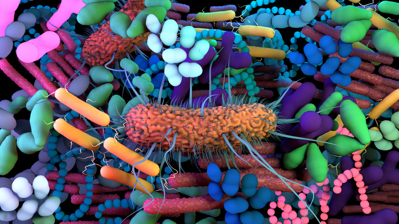 human microbes 3d rendering