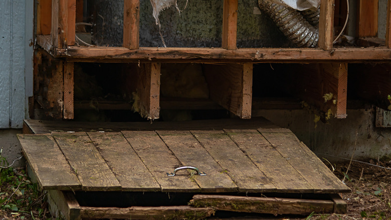 basement crawlspace