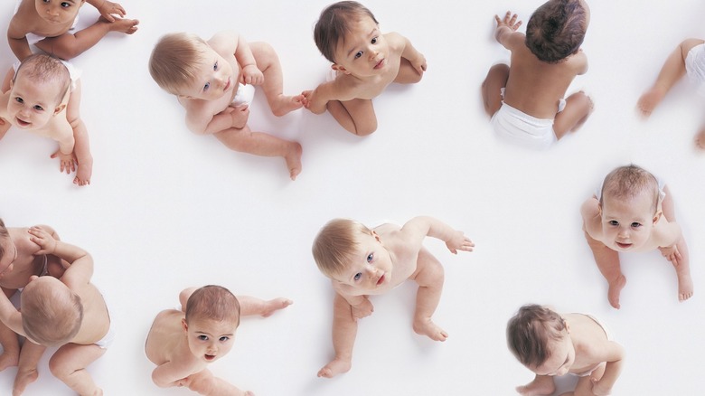 birdseye view of babies