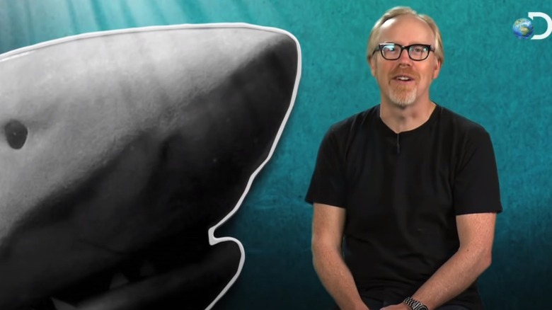 adam savage with a shark background