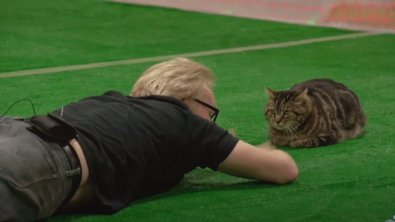 adam savage trying to herd cats