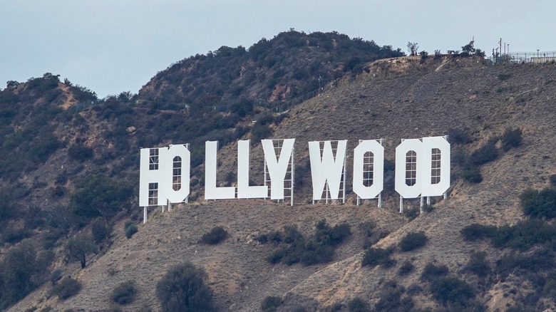 the Hollywood sign 