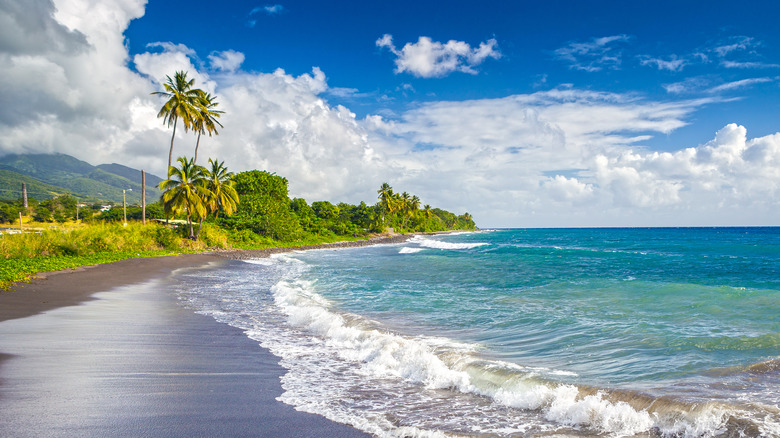 beach on St. Kitts island