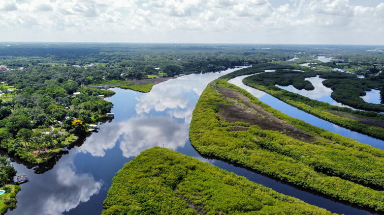 aerial view of Braden River in Florida