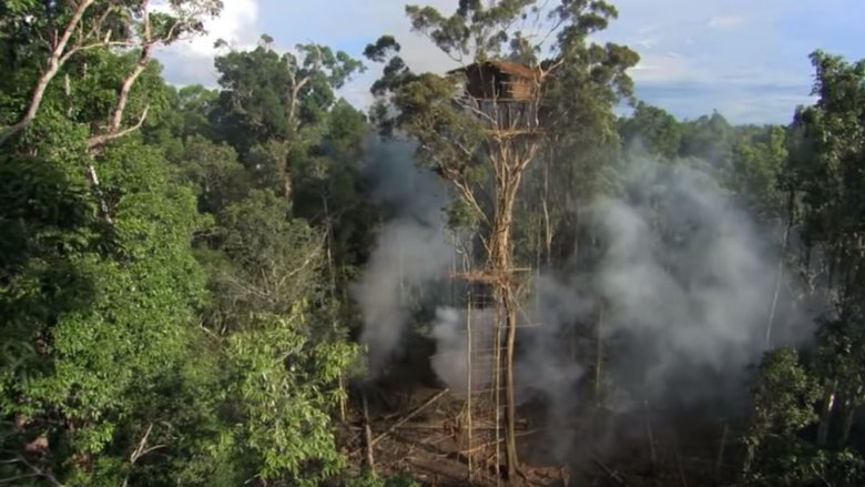 fake treehouse papua new guinea