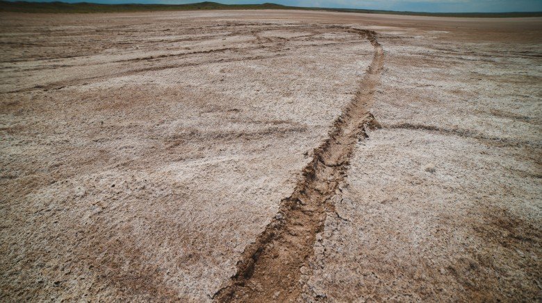 tire tracks desert