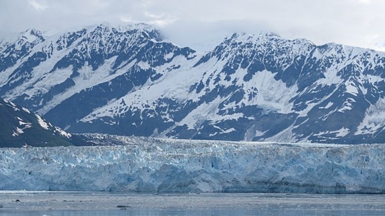 Hubbard Glacier 