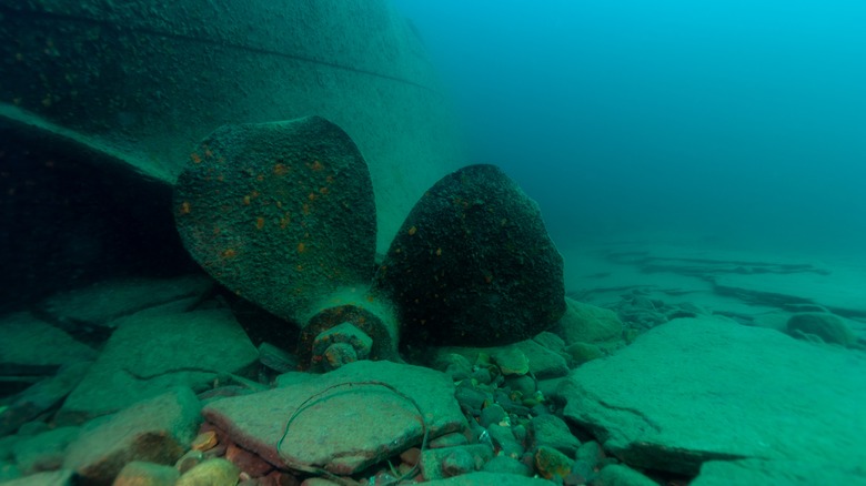 Sunken ship propeller, Lake Superior