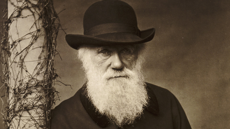 Charles Darwin with beard and hat