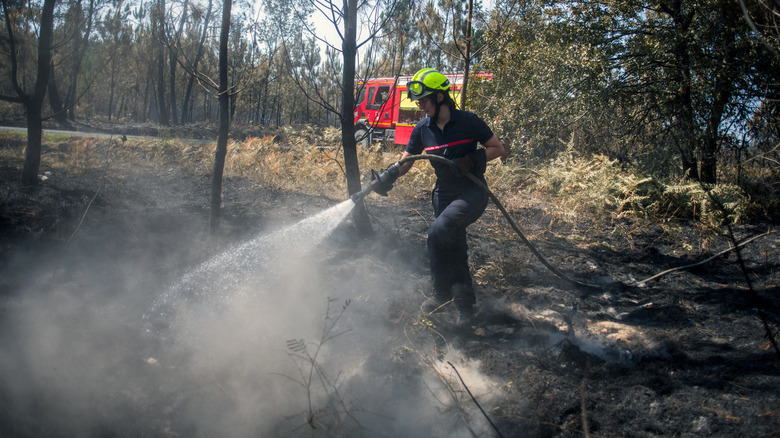 Firefighter fighting wildfire