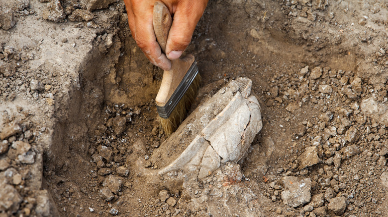 Archaeologist cleaning dig site