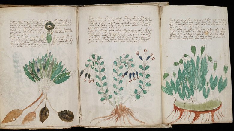 The Voynich Manuscript