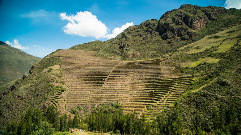 Farming terraces in the Andes