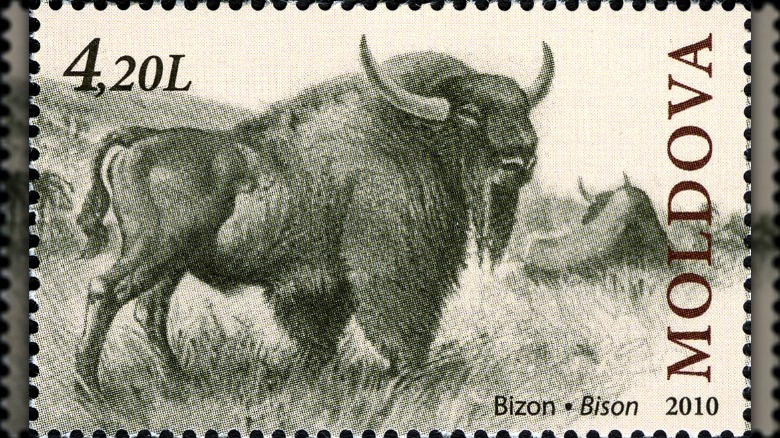 steppe bison on a stamp