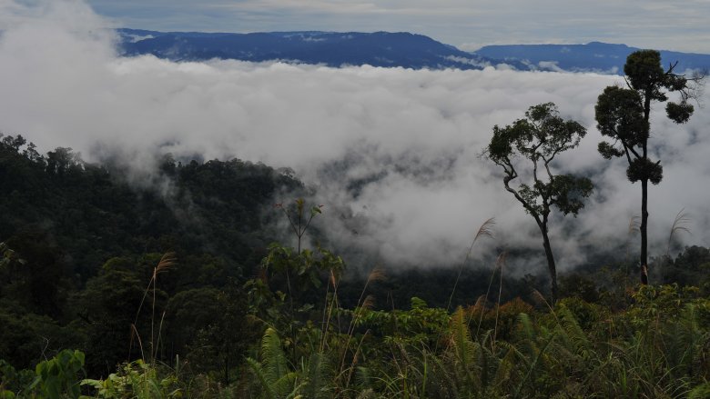 Sarawak state in Borneo