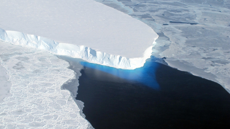 Leading edge of Thwaites ice shelf