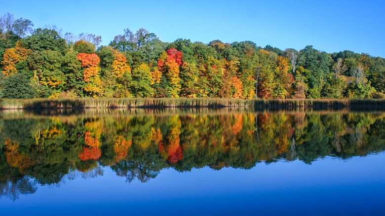 Genesee River in Rochester, NY