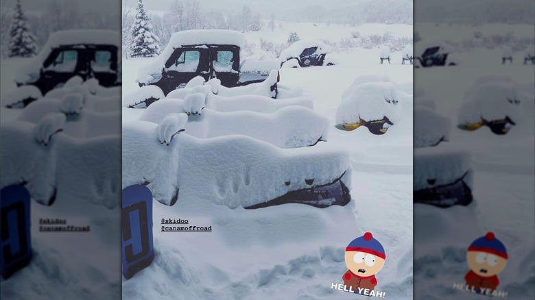 Thick snow on row of vehicles