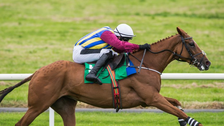 Jockey and horse